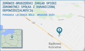 PORADNIA LECZENIA BÓLU - ZDROWIE-BRUDZEŃSKI ZAKŁAD OPIEKI ZDROWOTNEJ SPÓŁKA Z OGRANICZONĄ ODPOWIEDZIALNOŚCIĄ - JANA PAWŁA II 2,  BRUDZEŃ DUŻY
