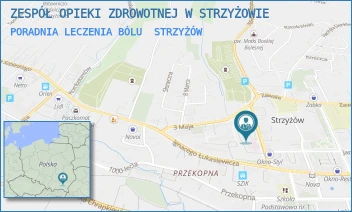 PORADNIA LECZENIA BÓLU - ZESPÓŁ OPIEKI ZDROWOTNEJ W STRZYŻOWIE - UL. 700-LECIA 1,  STRZYŻÓW
