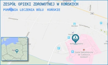 PORADNIA LECZENIA BÓLU - ZESPÓŁ OPIEKI ZDROWOTNEJ W KOŃSKICH - GIMNAZJALNA 41B,  KOŃSKIE